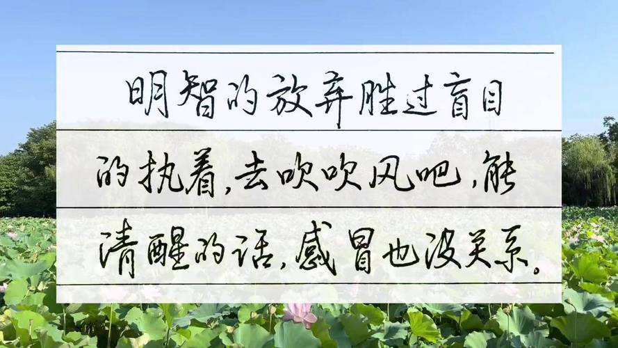 执着名言为何能触动人心？-图2