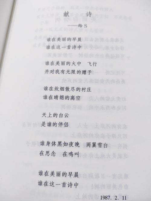 朱海诗歌有何独特魅力？-图3