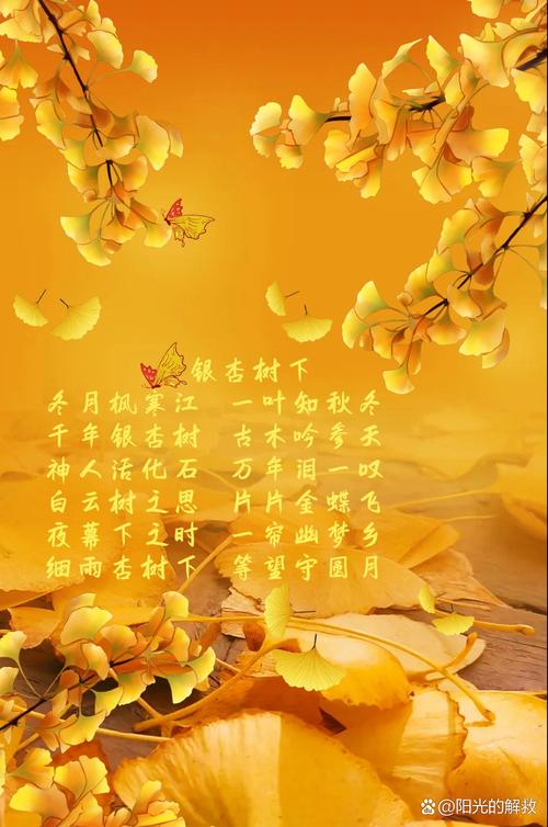 银杏树在诗中，藏着怎样的秋日密语？-图1