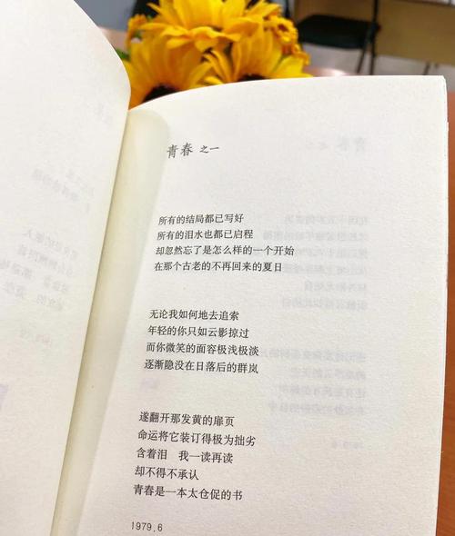 青春诗歌如何歌颂不朽的青春？-图1