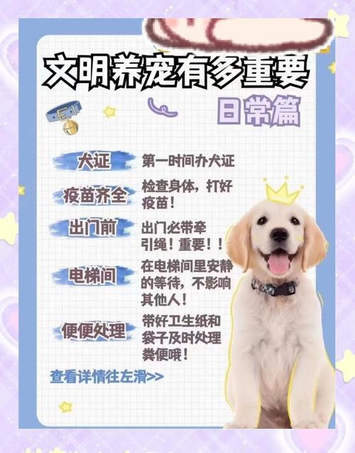 养狗的名言，藏着哪些人与狗的相处智慧？-图3