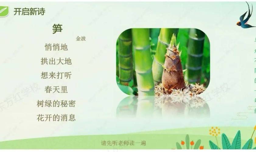 竹笋入诗，藏了何样春心？-图1