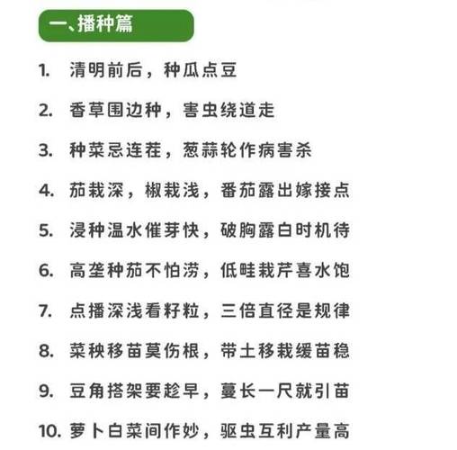 种菜名言藏着什么生活智慧？-图2