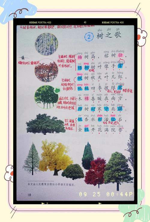 大树与小鸟，相依还是相离？-图3