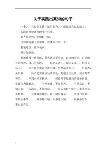 关于实践出真知的名言-图2