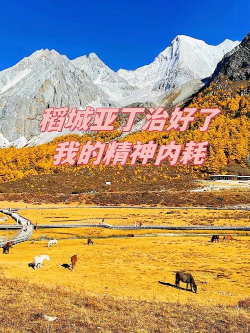 稻城亚丁的诗意，藏在哪片雪山与诗歌里？-图2