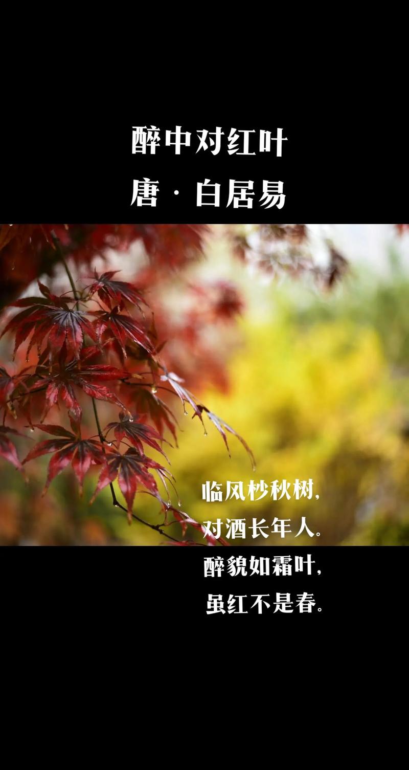 香山红叶诗歌，为何独醉秋色？-图1