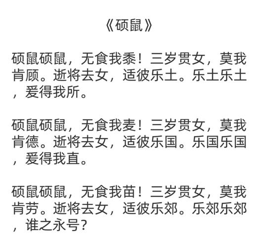 老鼠如何登台朗诵诗歌？-图1