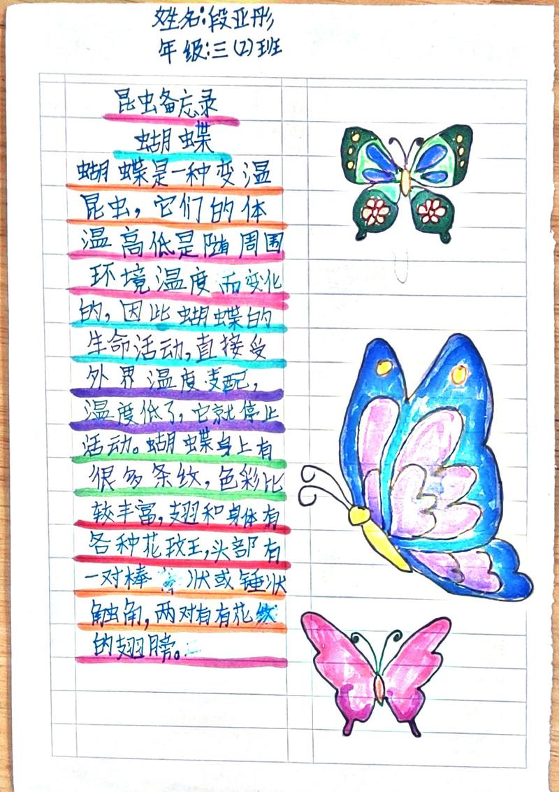 彩蝶的诗，藏着怎样的翩跹心事？-图3