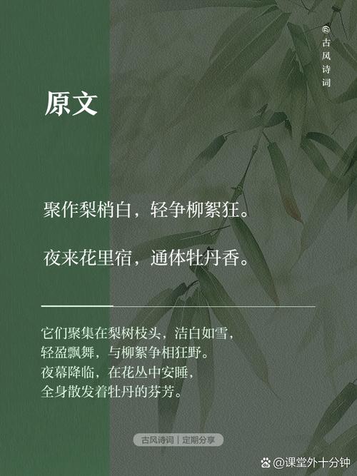 彩蝶的诗，藏着怎样的翩跹心事？-图2