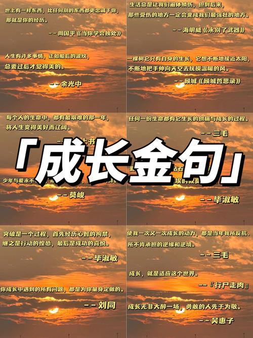 成长路上名言，藏着怎样的生命启示？-图3