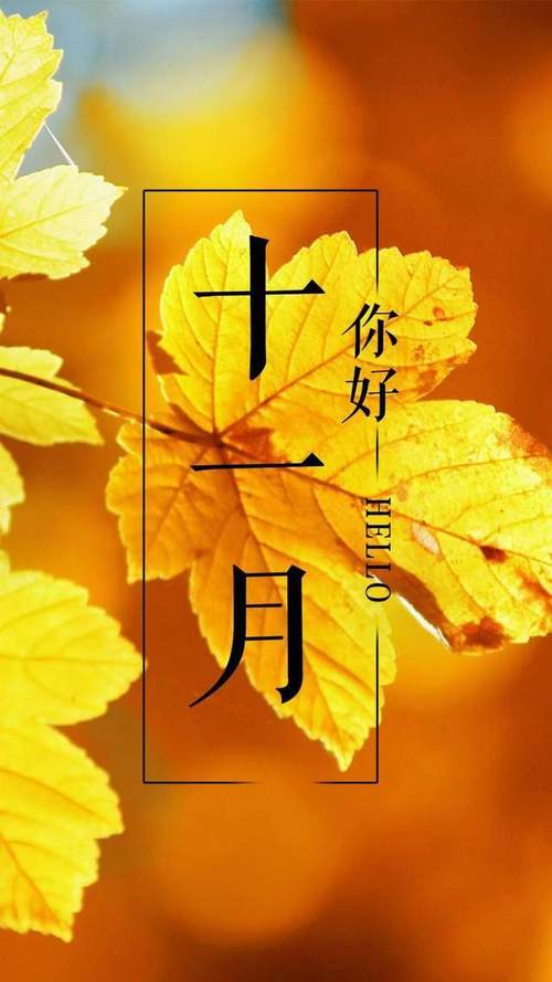 11月诗歌藏着怎样的秋日私语？-图3