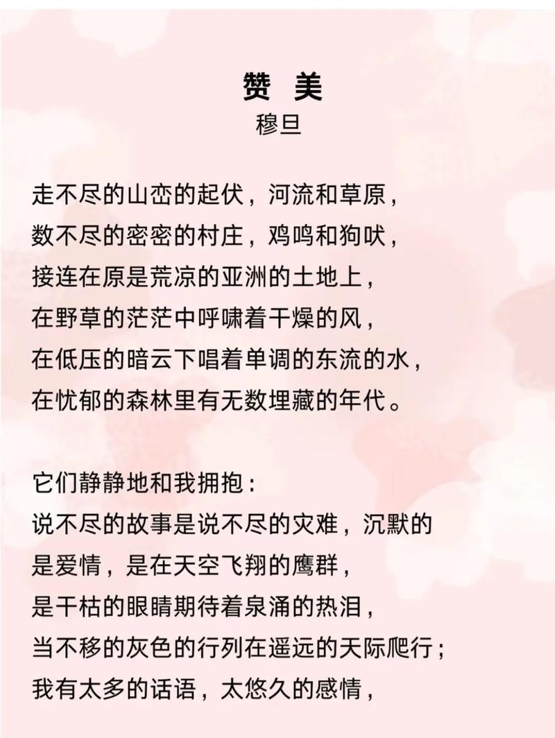 对诗歌的鉴赏作文-图2