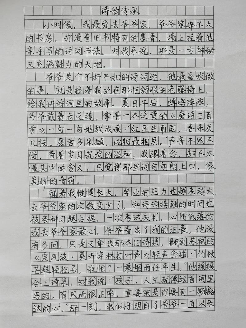 对诗歌的鉴赏作文-图3