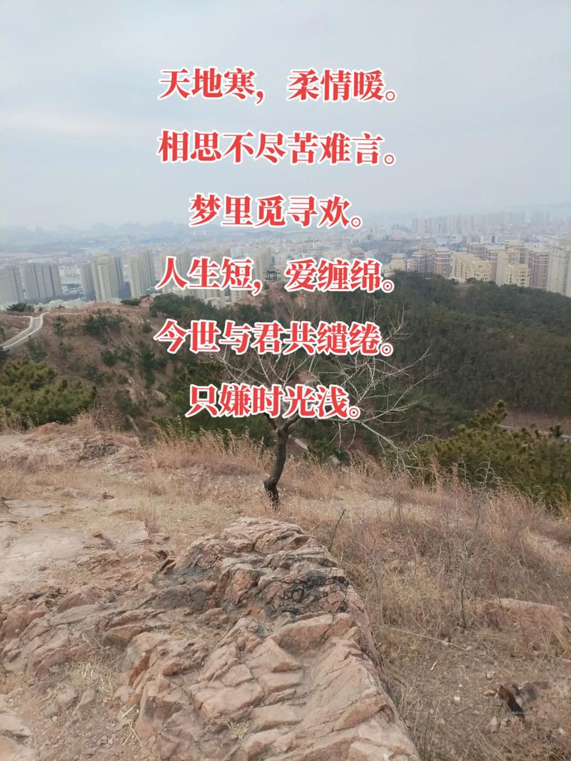 林杏子名言蕴含何种人生智慧?-图3 林杏子名言蕴含何种人生智慧?-图3