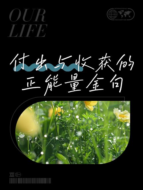 付出与回报的名言图片-图3