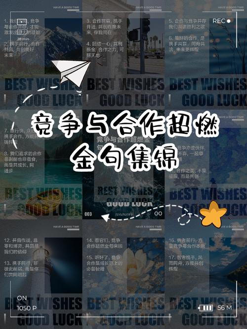 竞争名言揭示何种生存智慧？-图1