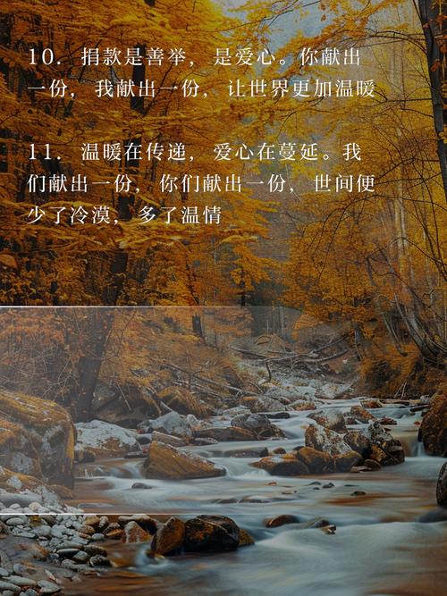 捐款名言背后藏着怎样的深意？-图2