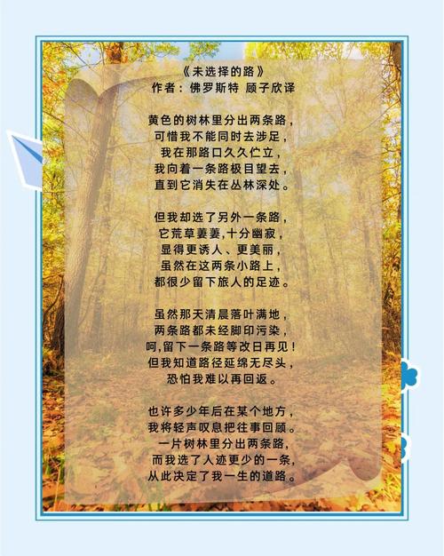 我的路诗中藏着怎样的前行与迷茫？-图3