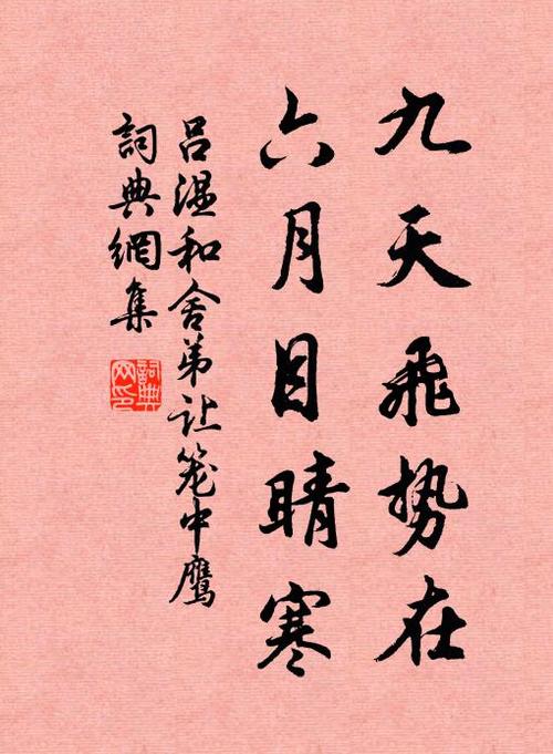 鹰的诗歌,藏着怎样的天空与自由?-图2 鹰的诗歌,藏着怎样的天空与自由?-图2