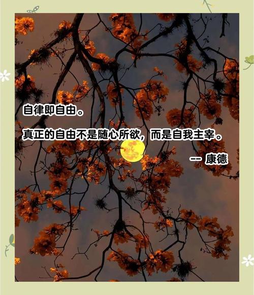 有关自由的名言-图2