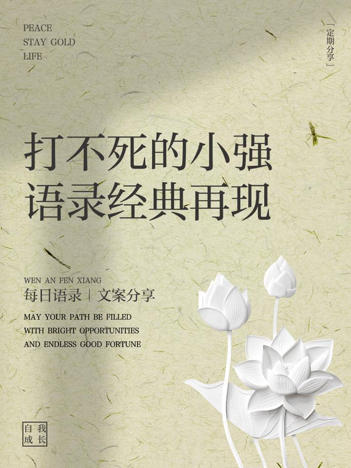 王宝强名言有何深意或影响力？-图2