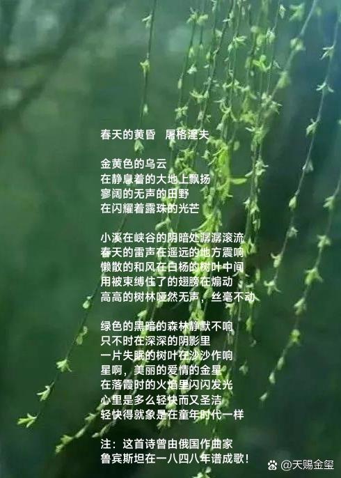 屠格涅夫诗歌有何独特魅力与价值？-图1