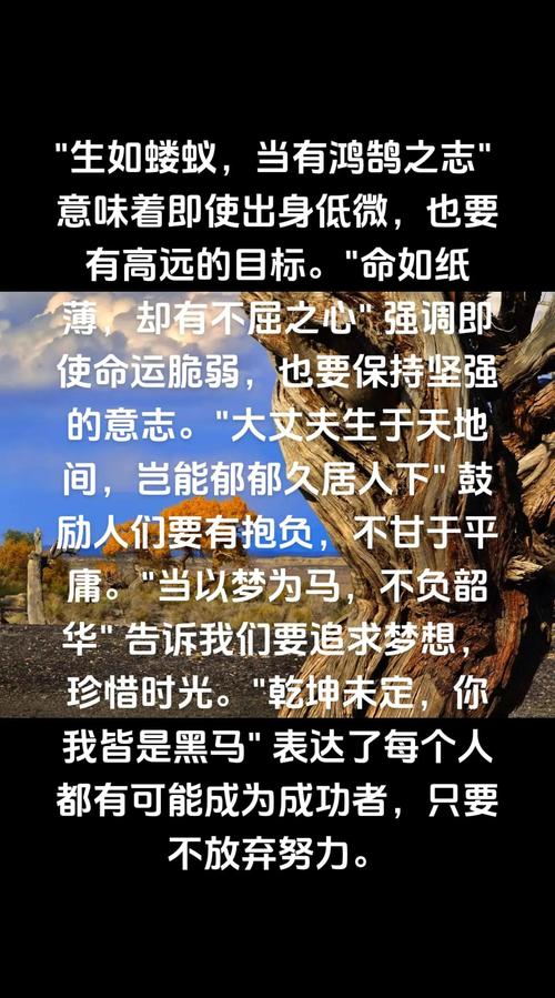 名言如何助人反败为胜？-图3