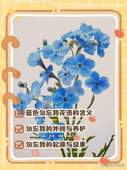 蓝名言为何值得深思？-图2