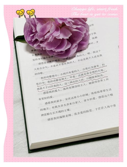 假如我是一朵花,诗歌藏着什么秘密?-图2 假如我是一朵花,诗歌藏着什么秘密?-图2