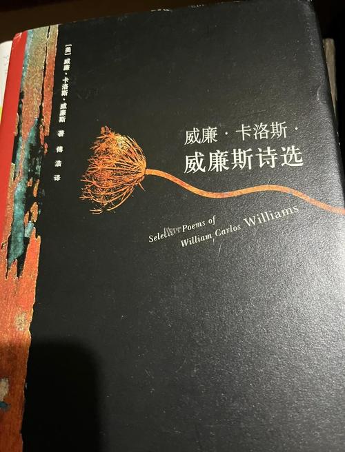 魅力诗歌的魅力究竟在何处？-图1