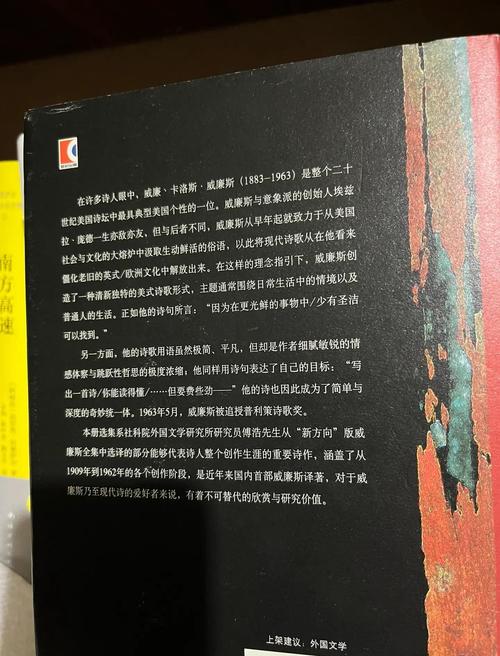 魅力诗歌的魅力究竟在何处？-图2