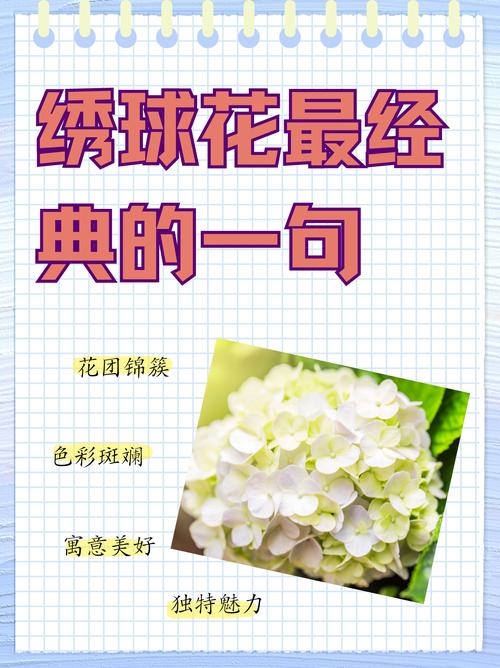 绣球花诗歌,花语与诗意的碰撞?-图1 绣球花诗歌,花语与诗意的碰撞?-图1