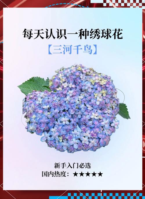 绣球花诗歌,花语与诗意的碰撞?-图2 绣球花诗歌,花语与诗意的碰撞?-图2