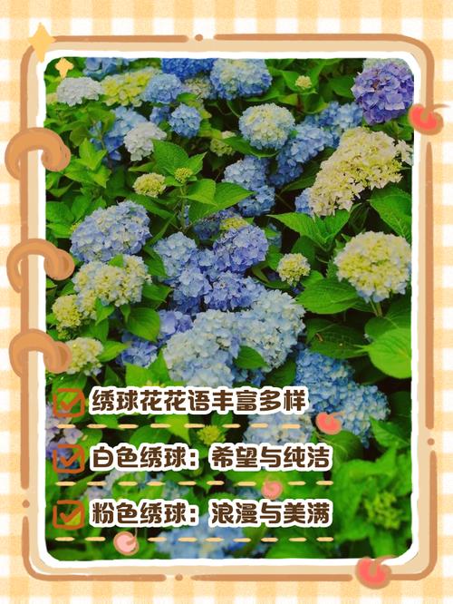 绣球花诗歌,花语与诗意的碰撞?-图3 绣球花诗歌,花语与诗意的碰撞?-图3