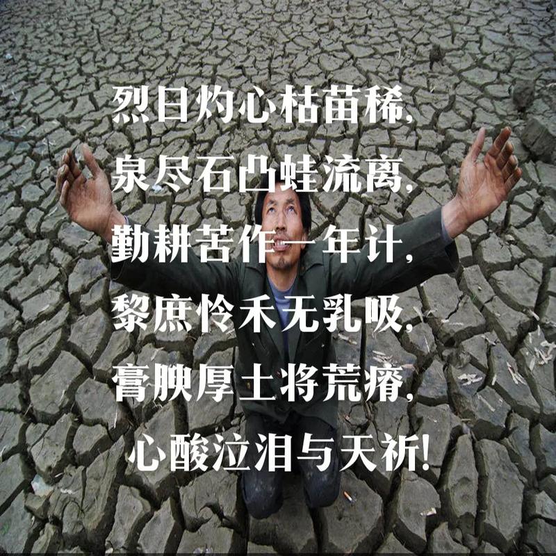 灾难名言背后藏着怎样的生存智慧？-图2