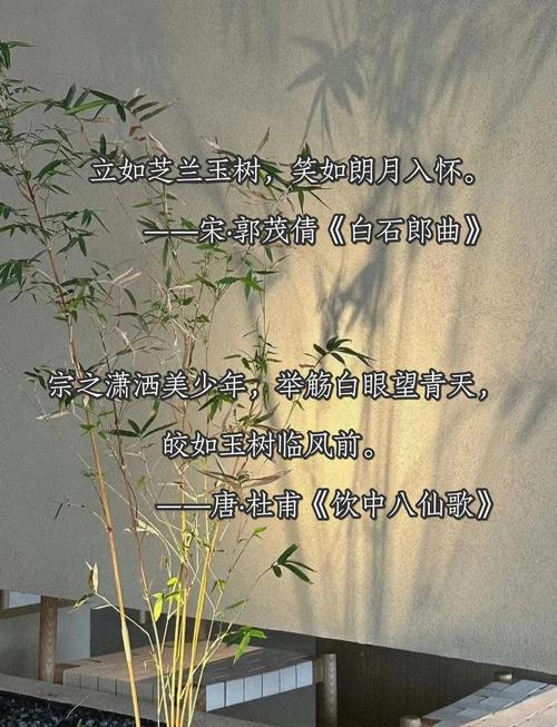 中华少年如何用诗歌书写青春?-图3 中华少年如何用诗歌书写青春?-图3