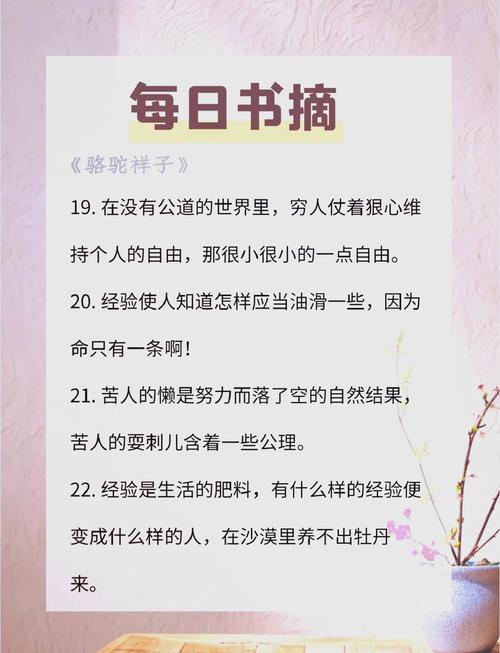 祥子的骆驼，藏着老舍怎样的悲歌？-图2