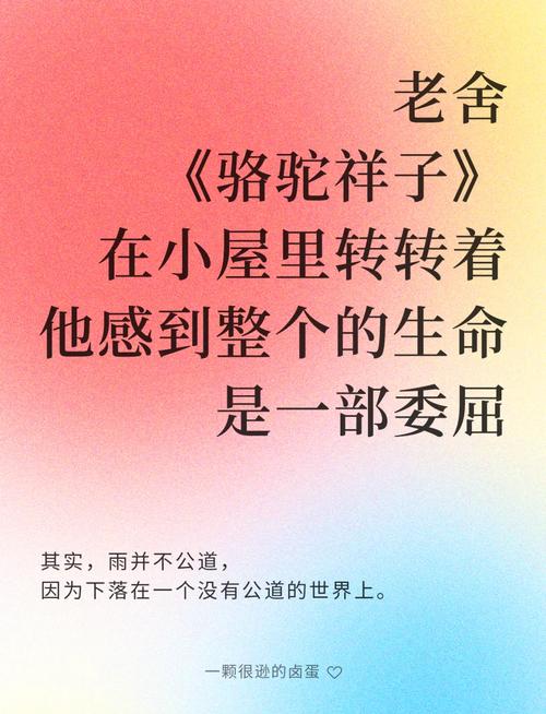 祥子的骆驼，藏着老舍怎样的悲歌？-图1