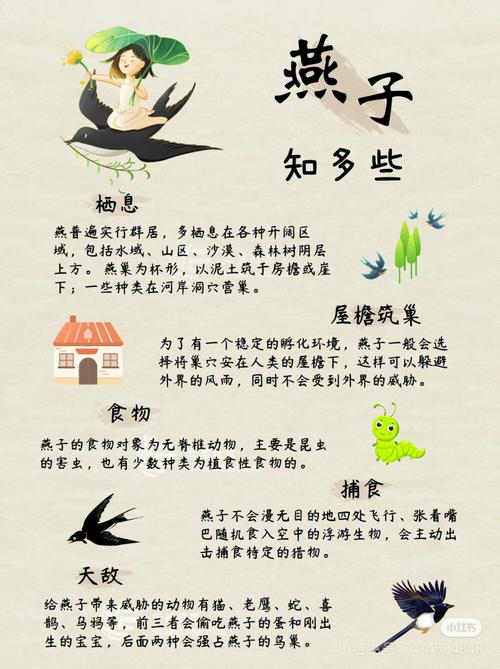 燕子有哪些经典名言?-图2 燕子有哪些经典名言?-图2