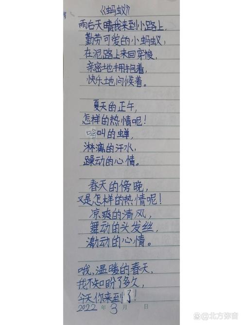 诗歌 现代诗-图3 诗歌 现代诗-图3