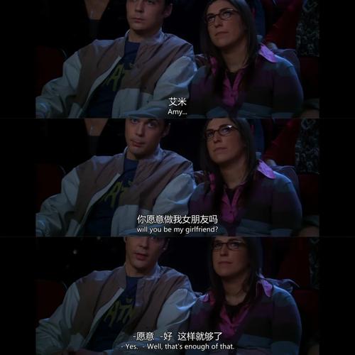 生活大爆炸名言有哪些经典台词？-图3