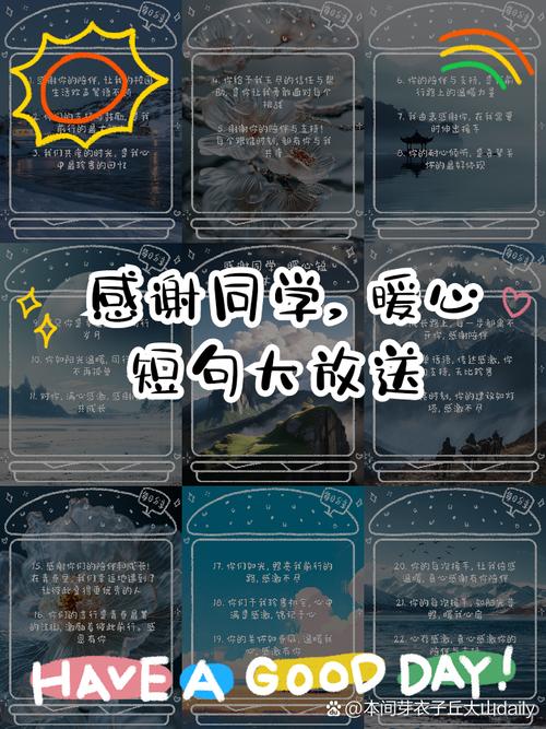 感恩同学的名言-图2