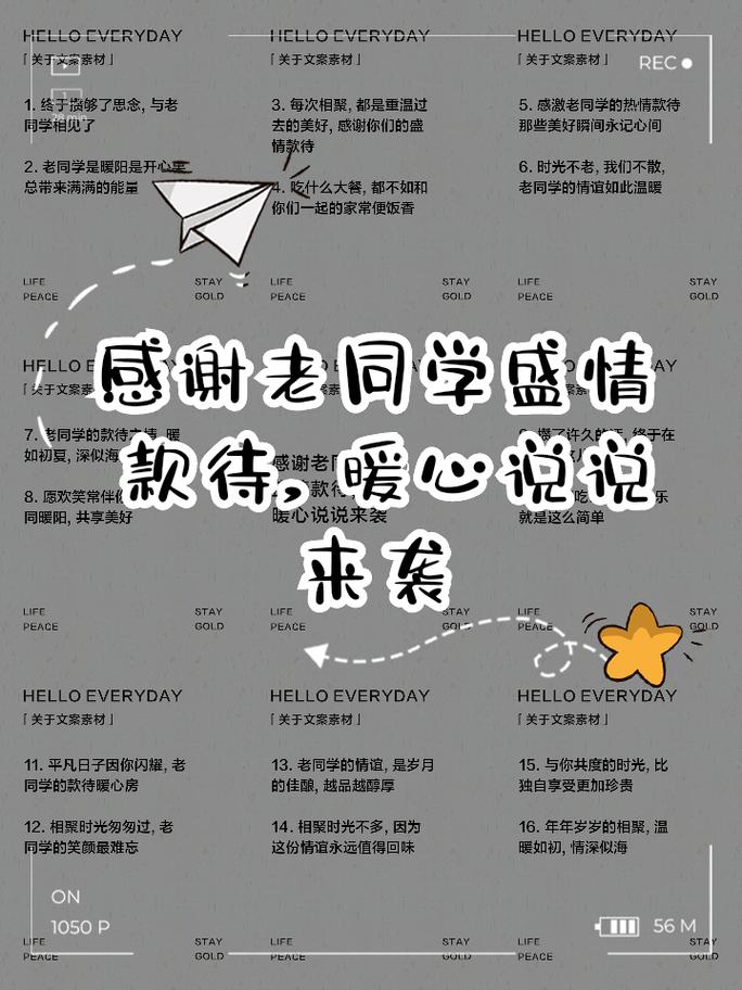 感恩同学的名言-图3