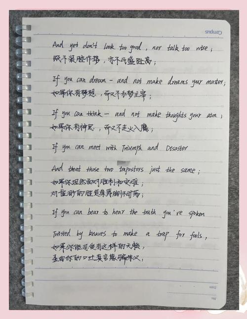 励志英语诗歌,如何点燃心灵的力量?-图2 励志英语诗歌,如何点燃心灵的力量?-图2