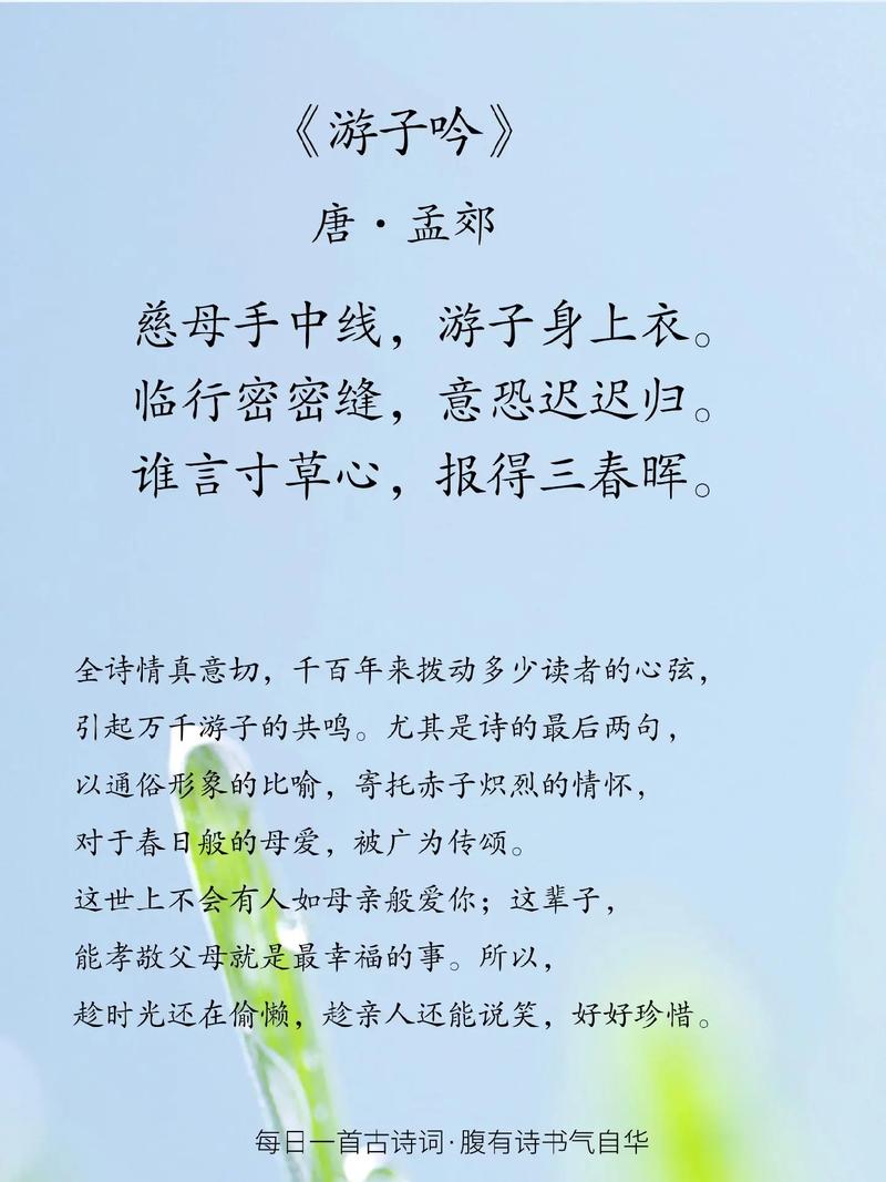 母亲的诗里藏着多少无声的爱？-图3