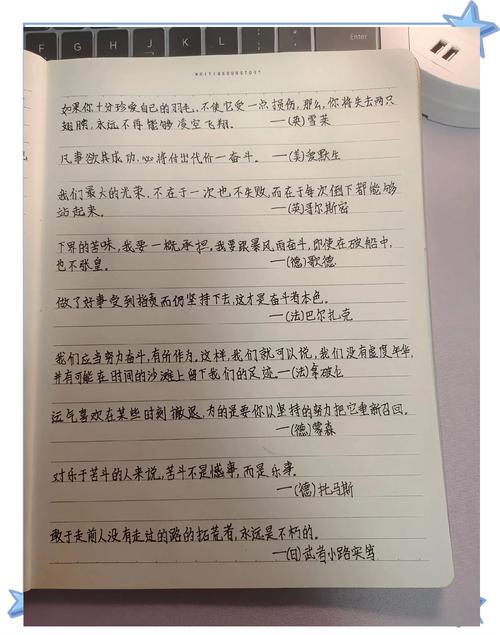 奋斗名言佳句，哪些最激励人心？-图2