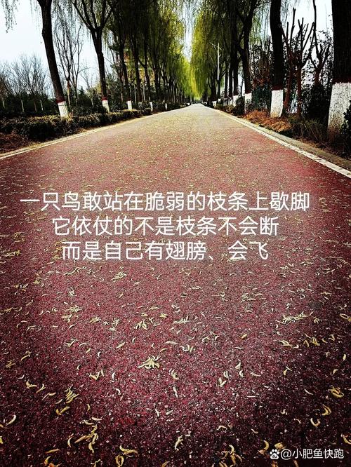 迷失方向的名言-图3