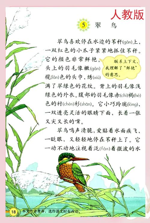 鸟的现代诗,是飞翔还是困顿?-图2 鸟的现代诗,是飞翔还是困顿?-图2