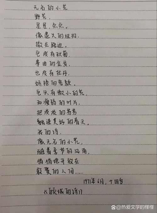 何为淡淡诗歌的淡淡意境与独特韵味?-图3 何为淡淡诗歌的淡淡意境与独特韵味?-图3